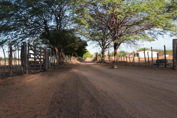 Caminho da roça.