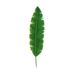 tropical natural leaf isolated icon