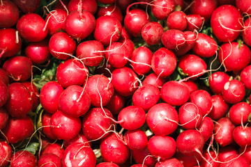 A lot of red radish. background of red radishes, lots of radishes. Lots of fresh ripe radishes at market. Top view