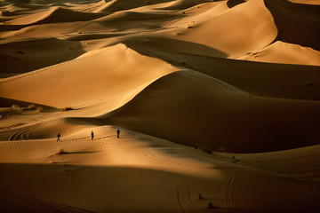 Fototapeta na wymiar sand in the desert