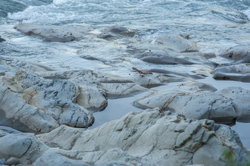 natural background stones and water