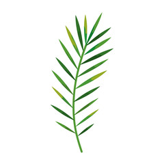 branch with tropical natural leafs isolated icon
