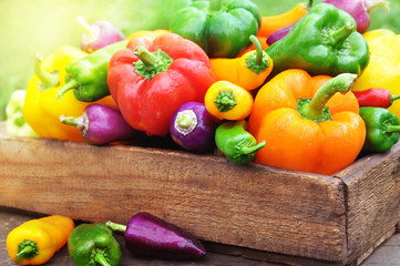 Summer or autumn raw harvested colorful bell peppers in wooden crate, soil background, selective focus, toned	