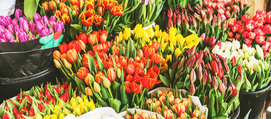 assortment colorful fresh tulips at street flowers market © mitarart