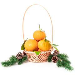 Christmas Tangerines. tangerines on a white background