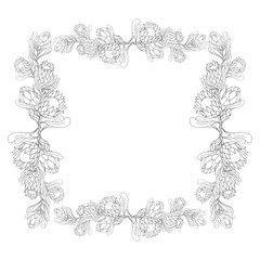 Vector illistration with vintage botanic frame black and white protea flowers. Romantic frame for spring and summer design, wedding invitation and greeting cards decorations background