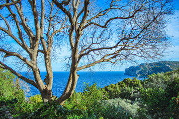 Fototapeta premium Scenic view of coast in Deia, Mallorca, Spain