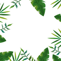 frame of tropical natural leafs isolated icon