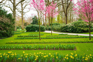Obraz premium Beautiful park garden in spring. Formal Garden