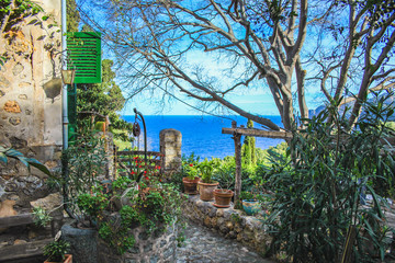 Fototapeta na wymiar Spanish style garden with plants and flowers located by the sea in Mallorca, Spain