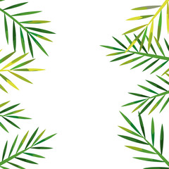 Fototapeta na wymiar frame of tropical natural leafs isolated icon