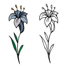 Hand drawn doodle style. Sketch of a flower in the imagination. coloring outlines. Stock vector illustration, color science theme, design element for pattern, decoration, children's coloring book