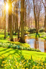 Fotobehang Lente landschap. Zonnestralen die op een weidebloemen glanzen. tuin in het voorjaar © EwaStudio