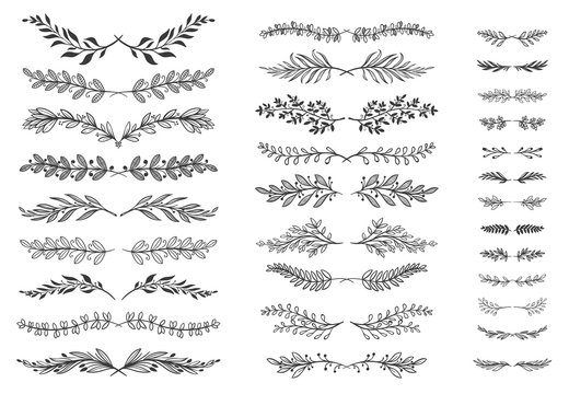 Floral ornament dividers. Ornamental leafs scroll decoration, decorative branch and hand drawn divider vector set. Bundle of pairs of sprigs, botanical design elements, natural monochrome decorations.