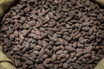 Chocolate cocoa beans. Organic healthy food