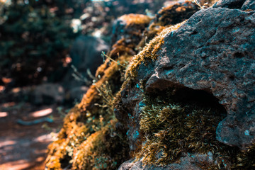 Rocks