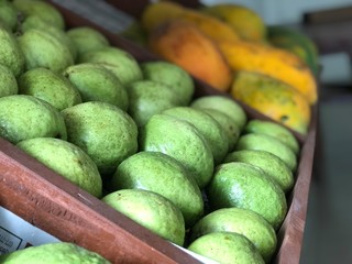 cucumbers on display at the market