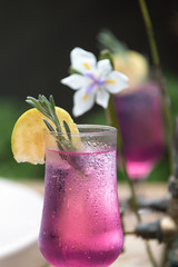 Pink, tropical refreshin cocktail