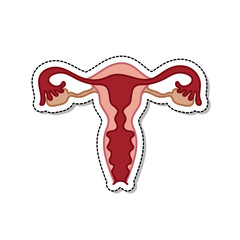 uterus doodle icon, vector illustration