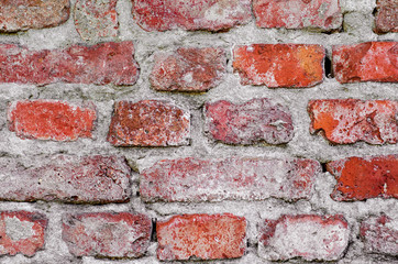 texture muro di mattoni 