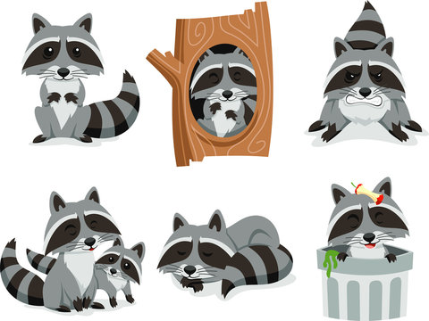 raccoon vector cartoon set