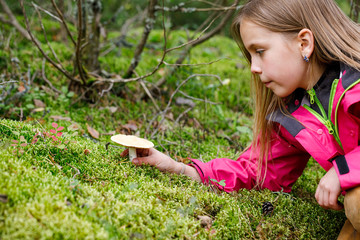 Girl found mushroom in a forest - risk of child mushroom poisoning concept
