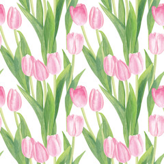 Watercolor Pink Tulip Flowers with green Leaves on White Background Seamless Pattern. Soft and Tender Spring Theme for Easter, 8th March, International Women's Day, Romantic Cards and Other.
