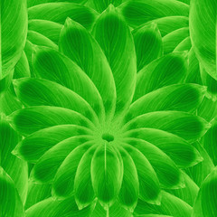 leaves seamless pattern design