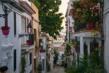 Fototapeta na wymiar Beautiful street with potted plants in Marbella. 