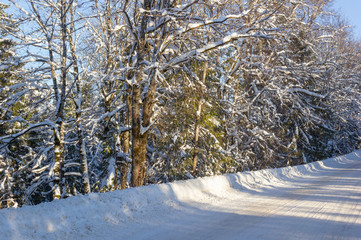 White winter road through the forest. Beautiful, sunny winter day in the countryside. Snow-covered trees. Latvia