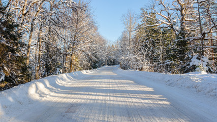 Fototapeta na wymiar White winter road through the forest. Beautiful, sunny winter day in the countryside. Snow-covered trees. Latvia
