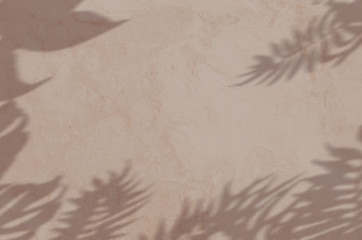 abstract background textuer of shadows exotic leaf on a concrete brown wall