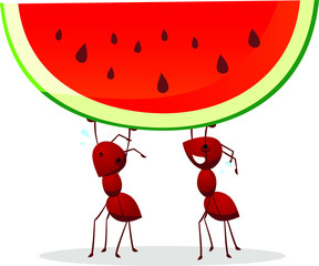 ants carrying watermelon