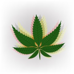 Vector banner for legalize marijuana with colorful cannabis leaf. Natural product of organic hemp.