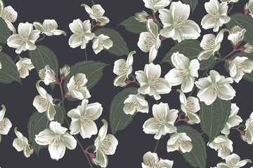 Floral seamless pattern, jasmine flowers with branch - 319817982