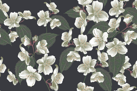 Floral seamless pattern, jasmine flowers with branch