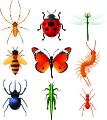 insects icons