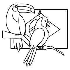 flag of brazil with parrot and toucan isolated icon