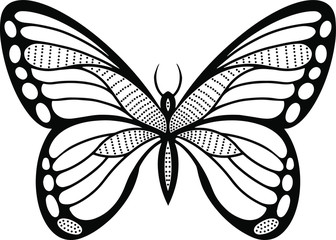 butterfly isolated on white background