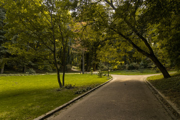 park outdoor asphalt road for walking and promenade landscaping object in nature environment green trees foliage shadow