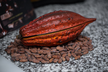 Cacao fruit and cacao beans on dark background