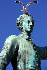 En mås på Carl XII:s staty i Kungsträdgården