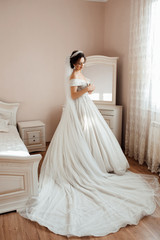 Bride with fashion dress posing at wedding morning. Brunette girl. Wedding veil. Beautiful young bride with wedding makeup and hairstyle in bedroom. Happiest bridal day. Morning preparations