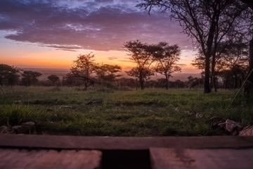 Sunrise over the Serengeti in Tanzania