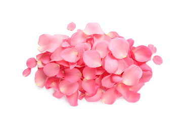 Obraz premium Pile of fresh pink rose petals on white background, top view