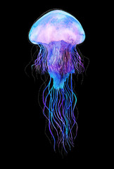 Watercolor jellyfish in modern bright neon colors isolated on black background underwater vivid illustration in large size Design element in magic style, purple blue violet glow pink fluid colorful © JuAngelArts