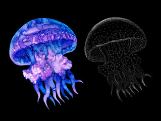 Watercolor jellyfish set in modern bright neon colors and in graphic stroke isolated on black background Vivid underwater illustration Design element style, purple blue violet glow pink fluid colorful