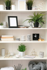 Obraz na płótnie Canvas White shelving unit with plants and different decorative stuff