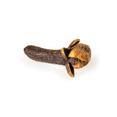 Cloves spice. One dried clove, macro close-up Isolated on white background, with light shadow.