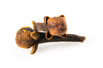 Cloves spice. Two dried cloves, macro close-up Isolated on white background, with a light shadow.